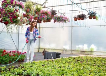 Sustainable Solutions for Garden Drainage Woes