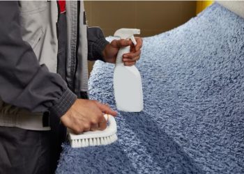 Carpet Cleaning Pimpama | Book your Carpet Cleaning today