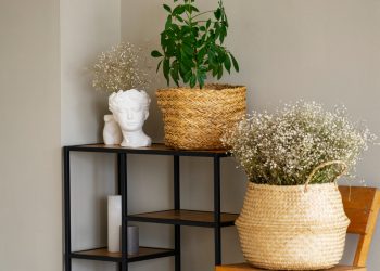 How Does Vintage Home Decor Bring Charm to Classic and Rustic Spaces?